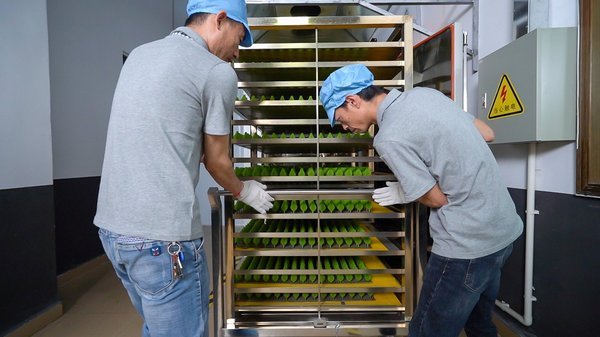 Descubra la experiencia de WS Silicon — Su socio de confianza para productos de silicona personalizados